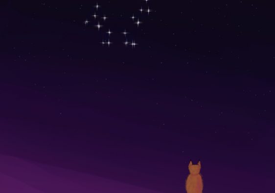 Un renard contemple son reflet dans les étoiles