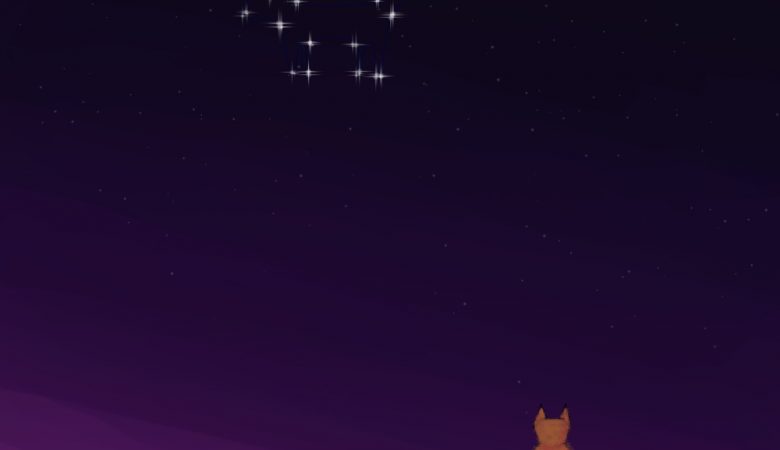 Un renard contemple son reflet dans les étoiles