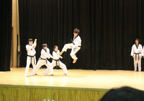 taekwondo