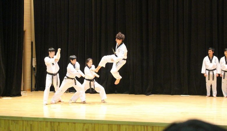 taekwondo
