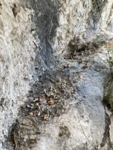 Fèves de la grotte aux fèves