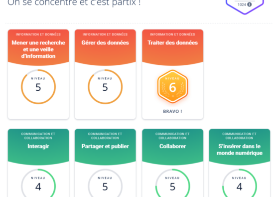 Décomposition en compétences numériques selon pix