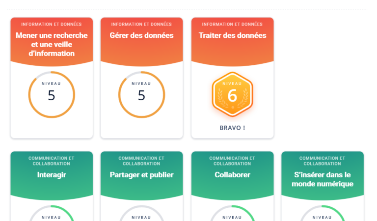Décomposition en compétences numériques selon pix