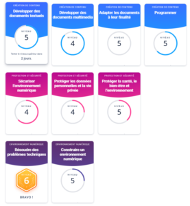 Décomposition en compétences numériques selon pix