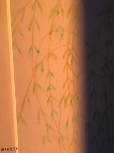 Saule et soleil levant