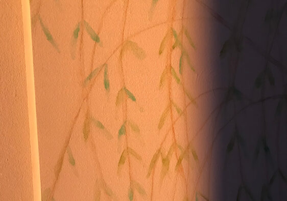 Saule et soleil levant