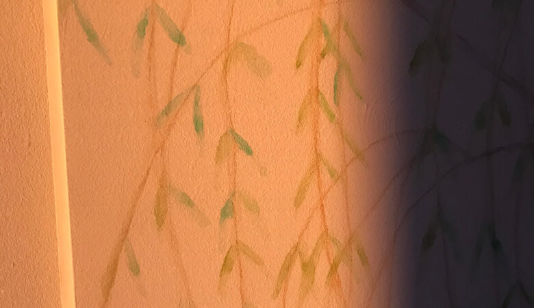 Saule et soleil levant